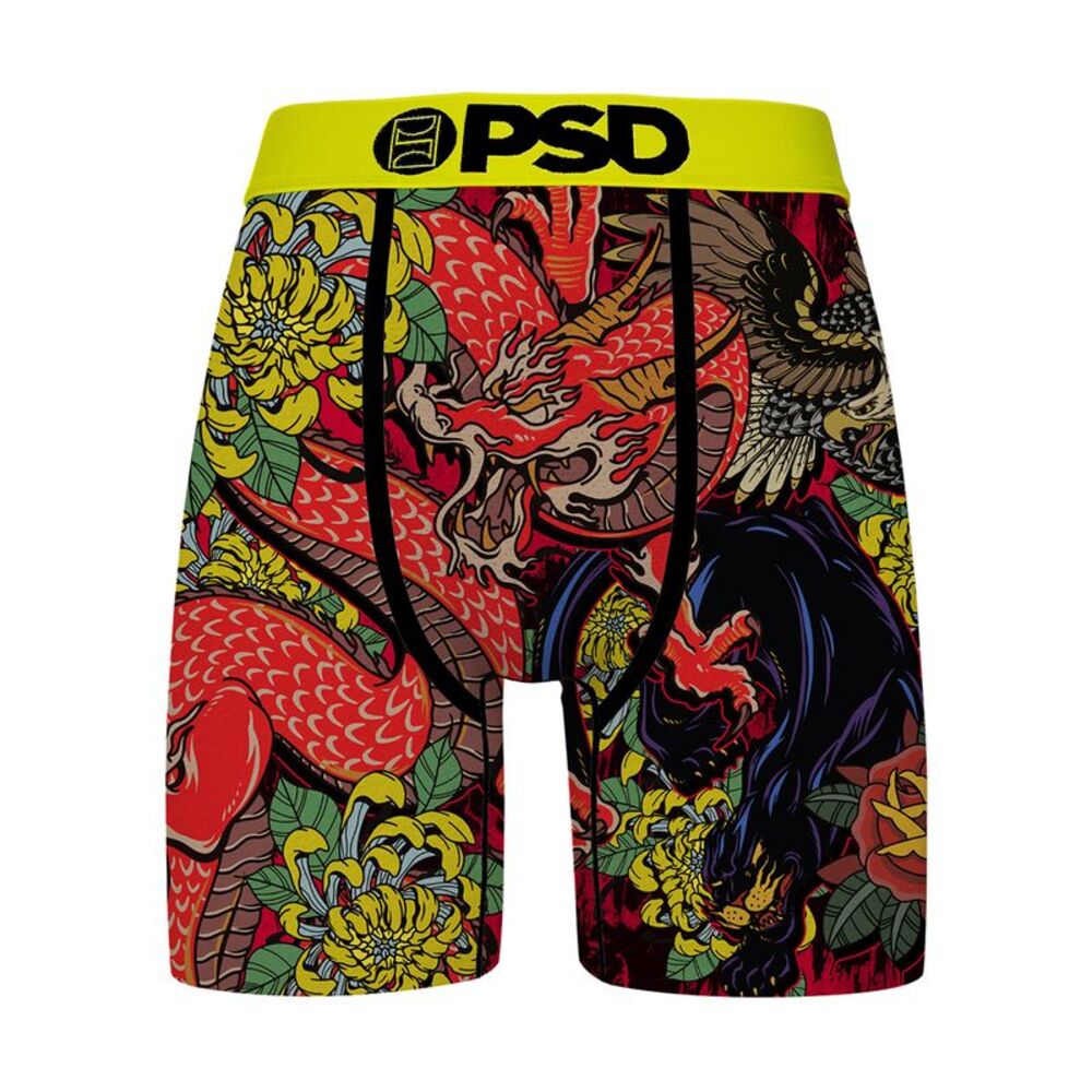 PSD Boxer Brief Wild Flash Mens Multicolor 326180076